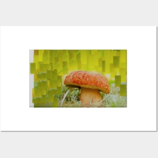 Mushroom Focus Posters and Art